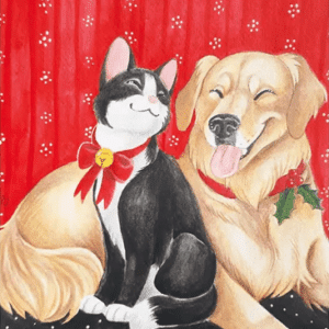 Joulu kotona joulukortti