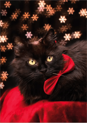 Malla-kissa ja lumihiutaleet joulukortti